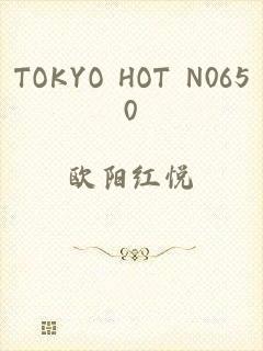 TOKYO HOT N0650